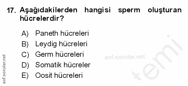 17. soru: Aşağıdakilerden hangisi sperm oluşturan hücrelerdir? A) Paneth hücreleri B) Leydig hücreleri C) Germ hücreleri D) Som…