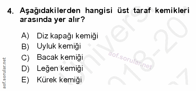 4. soru: Aşagıdakilerden hangisi üst taraf kemikleri arasında yer alır? Diz kapağı kemiği Uyluk kemiği C) Bacak kemığı D) Leğe…