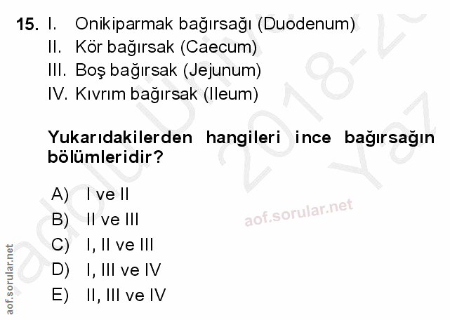 15. soru: I. Onikiparmak bağırsağı (Duodenum) II. Kör bağırsak (Caecum) Ill. Boş bağırsak (Jejunum) IV. Kıvrım bağırsak (Ileum)…