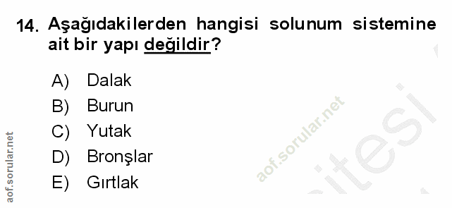 14. soru: Aşağıdakilerden hangisi solunum sistemine ait bir yapı değildir? A) Dalak B) Burun 9 C) Yutak D) Bronşlar E) Gırtlak