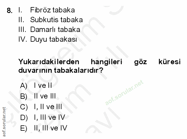 8. soru: I. Fibröz tabaka Il. Subkutis tabaka Ill. Damarlı tabaka IV. Duyu tabakası Yukarıdakilerden hangileri göz küresi duva…