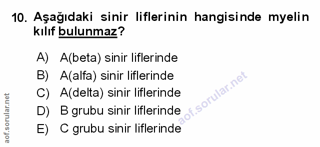 10. soru: Aşağıdaki sinir liflerinin hangisinde myelin kılif bulunmaz? A) A(beta) sinir liflerinde B) A(alfa) sinir liflerinde…