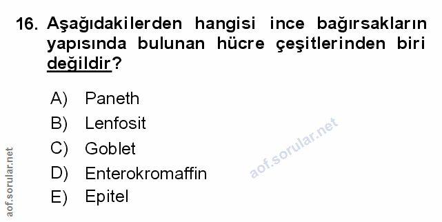 16. soru: Aşağıdakilerden hangisi ince bağırsakların yapısında bulunan hücre çeşitlerinden biri değildir? A) Paneth B) Lenfosit…