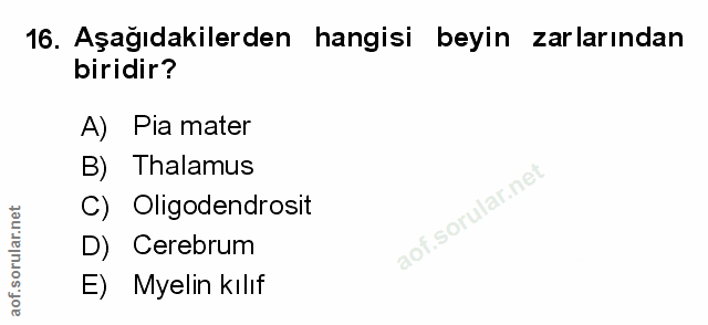 16. soru: Aşağıdakilerden hangisi beyin zarlarından biridir? A) Pia mater B) Thalamus C) Oligodendrosit D) Cerebrum E) Myelin k…