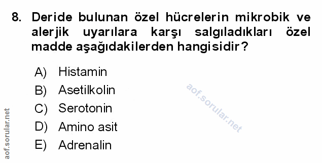 8. soru: Deride bulunan özel hücrelerin mikrobik ve alerjik uyarılara karşı salgıladıkları özel madde aşağıdakilerden hangisid…