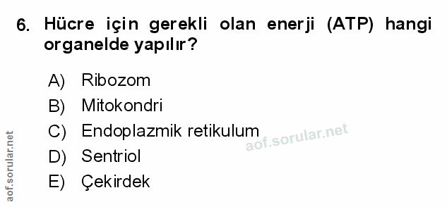 6. soru: Hücre için gerekli olan enerji (ATP) hangi organelde yapılır? A) Ribozom B) Mitokondri C) Endoplazmik retikulum D) Se…