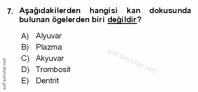 7. soru: Aşağıdakilerden hangisi kan dokusunda bulunan ögelerden biri değildir? A) Alyuvar B) Plazma C) Akyuvar D) Trombosit E…