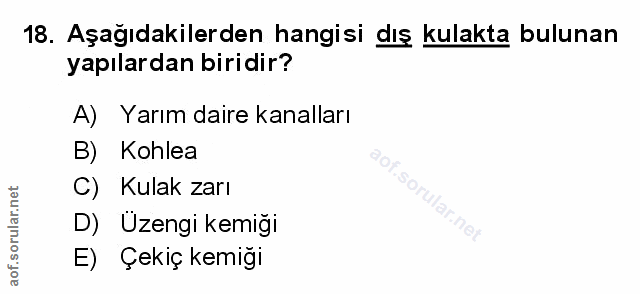 18. soru: Aşağıdakilerden hangisi dış kulakta bulunan yapılardan biridir? A) Yarım daire kanalları B) Kohlea C) Kulak zarı D) Ü…
