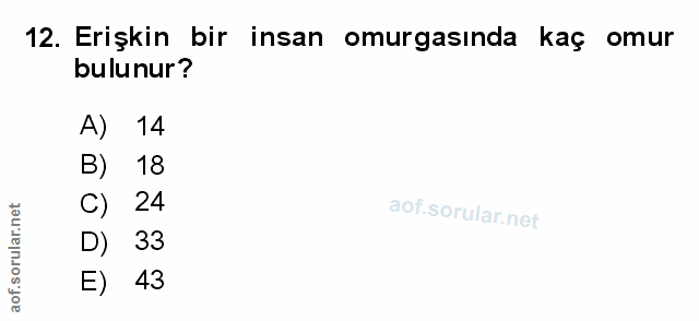 12. soru: Erişkin bir insan omurgasinda kaç omur bulunur? A) 14 B) 18 C) 24 D) 33 E) 43