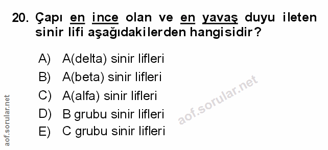 20. soru: Çapı en ince olan ve en yavaş duyu ileten sinir lifi aşağıdakilerden hangisidir? A) A(delta) sinir lifleri B) A(beta)…