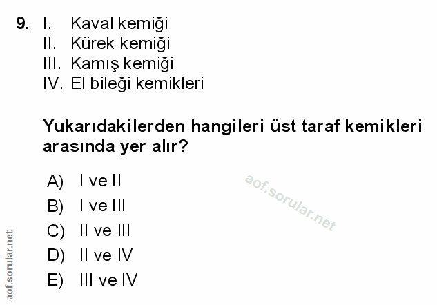 9. soru: l. Kaval kemiği Il. Kürek kemiği Ill. Kamış kemiği IV. EI bileği kemikleri Yukarıdakilerden hangileri üst taraf kemik…