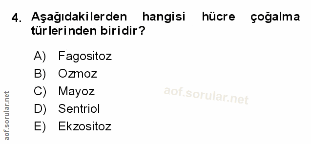 4. soru: Aşağıdakilerden hangisi hücre çoğalma türlerinden biridir? A) Fagositoz B) Ozmoz C) Mayoz aof.sorular.ne D) Sentriol…