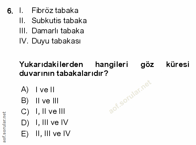 6. soru: I. Fibröz tabaka Il. Subkutis tabaka Ill. Damarlı tabaka IV. Duyu tabakası Yukarıdakilerden hangileri göz küresi duva…
