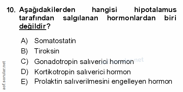 10. soru: Aşağıdakilerden hangisi hipotalamus tarafından salgılanan hormonlardan biri değildir? A) Somatostatin B) Tiroksin C)…