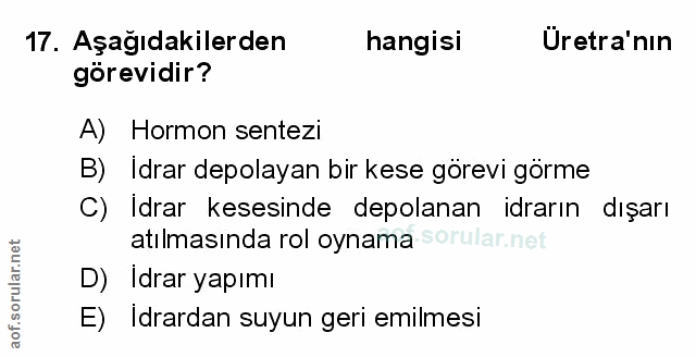 17. soru: Aşağıdakilerden hangisi Üretra'nın görevidir? A) Hormon sentezi B) Idrar depolayan bir kese görevi görme C) Idrar kes…