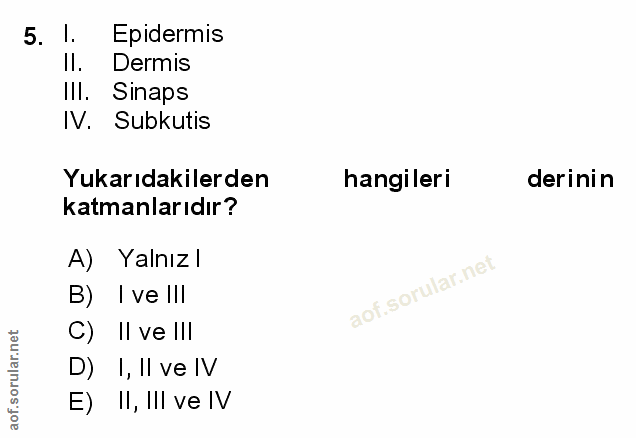 5. soru: 1. Epidermis II. Dermis IlI. Sinaps IV. Subkutis Yukarıdakilerden hangileri derinin katmanlarıdır? A) Yalnızl B) I ve…