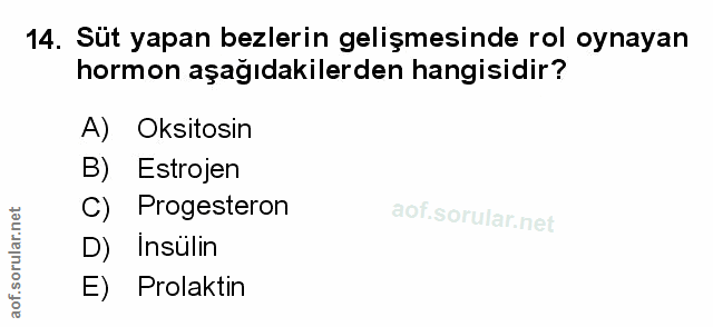 14. soru: Süt yapan bezlerin gelişmesinde rol oynayan hormon aşağıdakilerden hangisidir? A) Oksitosin B) Estrojen C) Progestero…