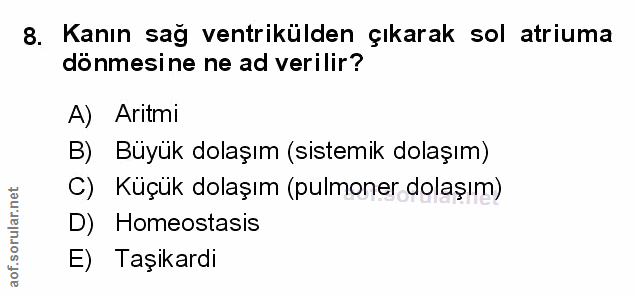 8. soru: Kanın sağ ventrikülden çıkarak sol atriuma dönmesine ne ad verilir? A) Aritmi B) Büyük dolaşım (sistemik dolaşım) C)…