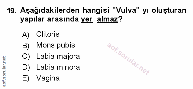 19. soru: Aşağıdakilerden hangisi "Vulva" yı oluşturan yapılar arasında yer almaz? A) Clitoris B) Mons pubis C) Labia majora D)…