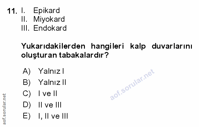 11. soru: I. Epikard Il. Miyokard IlI. Endokard Yukarıdakilerden hangileri kalp duvarlarını oluşturan tabakalardır? A) Yalnızl…