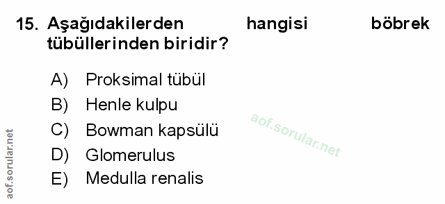 15. soru: Aşağıdakilerden hangisi böbrek tübüllerinden biridir? A) Proksimal tübül Henle kulpu C) Bowman kapsulu D) Glomerulus…
