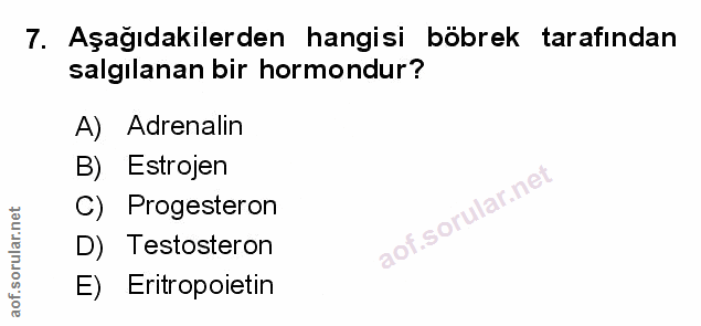 7. soru: Aşağıdakilerden hangisi böbrek tarafından salgılanan bir hormondur? A) Adrenalin B) Estrojen C) Progesteron D) Testos…