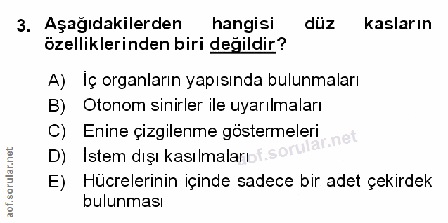 3. soru: Aşağıdakilerden hangisi duz kasların özelliklerinden biri değildir? A) İç organların yapısında bulunmaları B) Otonom…