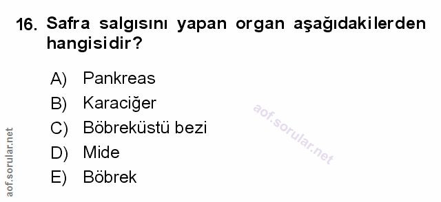 16. soru: Safra salgısını yapan organ aşağıdakilerden hangisidir? A) Pankreas B) Karaciğer Böbreküstu bezi D) Mide E) Bobrek