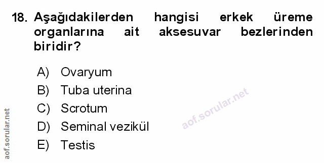 18. soru: Aşağıdakilerden hangisi erkek üreme organlarına ait aksesuvar bezlerinden biridir? A) Ovaryum B) Tuba uterina .sorula…