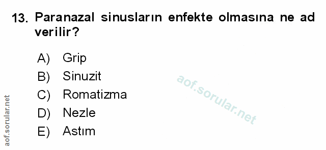 13. soru: Paranazal sinusların enfekte olmasına ne ad verilir? A) Grip B) Sinuzit C) Romatizma D) Nezle E) Astım