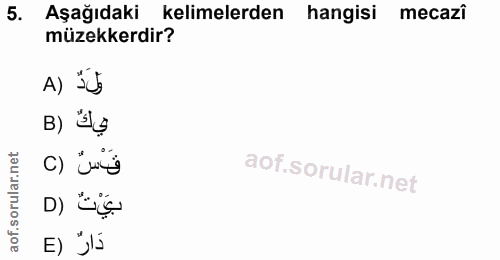 5. soru: Aşağıdaki kelimelerden hangisi mecazi müzekkerdir? ولدٌ (A B) C) بيْ تٌ (D دَارٌ (E