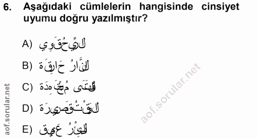 6. soru: Aşağıdaki cümlelerin hangisinde cinsiyet uyumu doğru yazılmıştır? لايِّحُقوِي (A لانَّارُ حَارِقَة (B .sorular.nel لع…