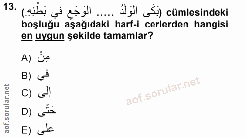 13. soru: (aib si eșill..... Jil Śi) cümlesindeki boşluğu aşağıdaki harf-icerlerden hangisi en uygun şekilde tamamlar? A) js B)…