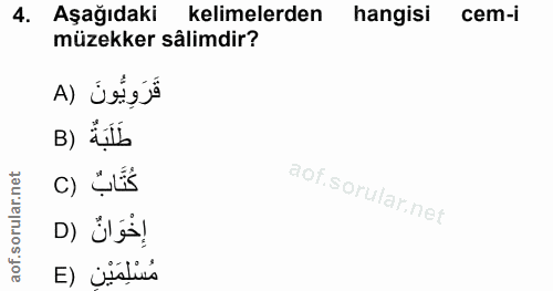 4. soru: Aşağıdaki kelimelerden hangisi cem-i müzekker sâlimdir? B) C) E) vinlins
