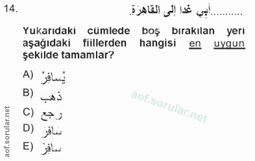 14. soru: Yukarıdaki cümlede boş bırakılan yeri aşağıdaki fiillerden hangisi en uygun şekilde tamamlar? A) jeLuy B) ذهب رجع (C…