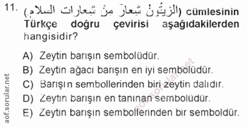 11. soru: (alel öl lei ja jei J All) cümlesinin Türkçe doğru çevirisi aşağıdakilerden hangisidir? A) Zeytin barışın sembolüdür.…
