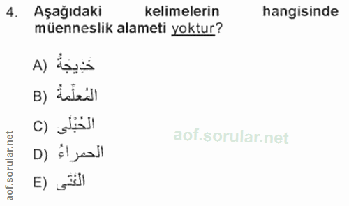 4. soru: Aşağıdaki kelimelerin hangisinde müenneslik alameti yoktur? B) Intell rular.net D) ¿l jaall aof.sol E) Sal