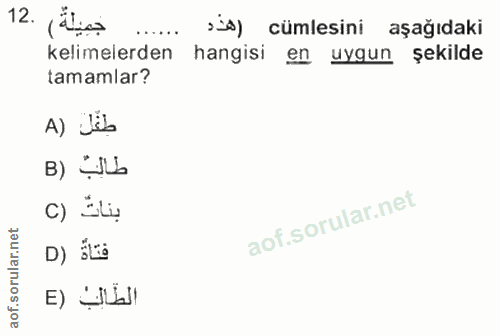 12. soru: ,alica s d) cümlesini aşağıdaki kelimelerden hangisi en uygun şekilde tamamlar? A) Jüb D) ELà