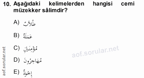 10. soru: Aşağıdaki kelimelerden hangisi cemi müzekker sâlimdir? طُلأَبٌ (A B) Ilsc مُؤْمِنَيْنِ (C مُهَاجِرُونَ (D إِخْوَةُ (E
