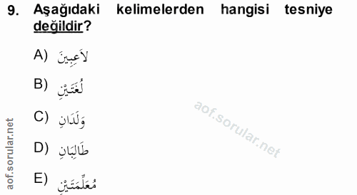 9. soru: Aşağıdaki kelimelerden hangisi tesniye değildir? A) inEY B) jed ar.net وَلَدَانٍ (C طَالِبَانِ (D aof. مُعَلِّمَتَيْن (E