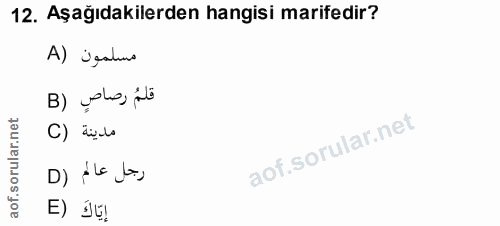 12. soru: Aşağıdakilerden hangisi marifedir? A) ¿paluno B) yaho, dé rular.net C) رجل عام (D aof. E) Ú¢]