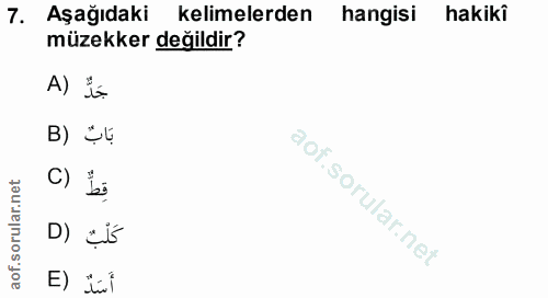 7. soru: Aşağıdaki kelimelerden hangisi hakiki müzekker değildir? A) t B) [ c) b D) ¿Íś E) tui