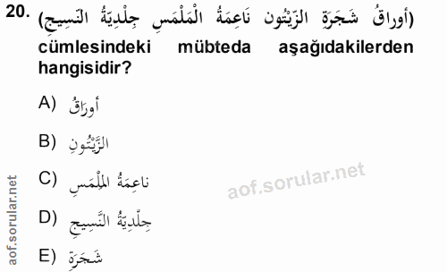 20. soru: (أوراقُ شَجَرَةٍ الزّيْتُون نَاعِمَةُ الْمَلْمَسِ جِلْدِيَةُ النَسِيج) .20 cümlesindeki mübteda aşağıdakilerden hangi…