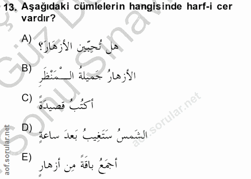 13. soru: Aşağıdaki cümlelerin hangisinde harf-i cer vardır? هل تُحِبّين الأزهَارَ؟ ( A الأَزهارُ جَميلةُ الْمَنْظَرِ (B أكتُبُ…