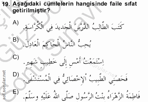 19. soru: Aşağıdaki cümlelerin hangisinde faile sıfat getirilmiştir? A) كَتَبَ الطَّالِبُ الدَّرْسَ الْجَديدَ فِي الْكُرَّاسَةِ…