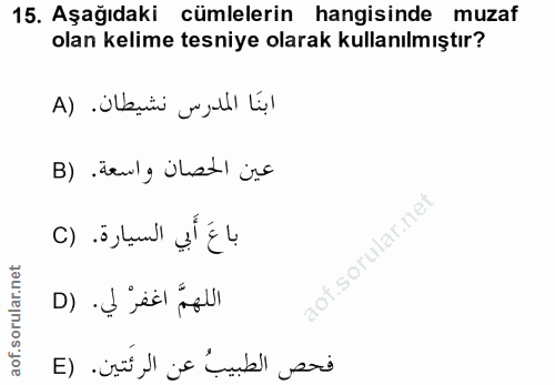 15. soru: Aşağıdaki cümlelerin hangisinde muzaf olan kelime tesniye olarak kullanılmıştır? ابنَا المدرس نشيطان. (A عين الحصان و…