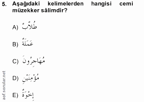 5. soru: Aşağıdaki kelimelerden hangisi cemi müzekker sâlimdir? A) {SB B) Tlsé مُهَاجِرُونَ () مُؤْمِنَيْنِ (D إحْوَةٌ (E