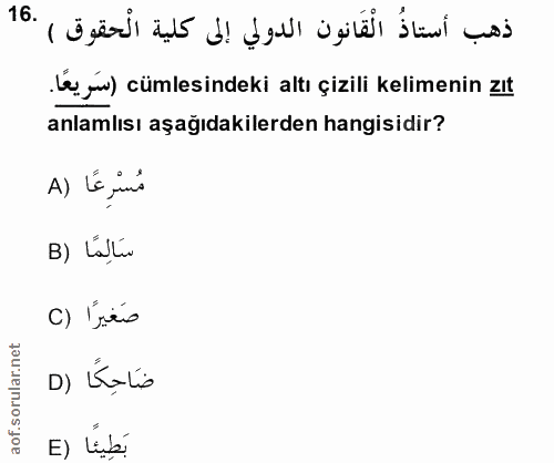 16. soru: H . le yw) cümlesindeki altı çizili kelimenin Zıt anlamlısı aşağıdakilerden hangisidir? A) Lé ino B) Lalla صَغيرًا (C…