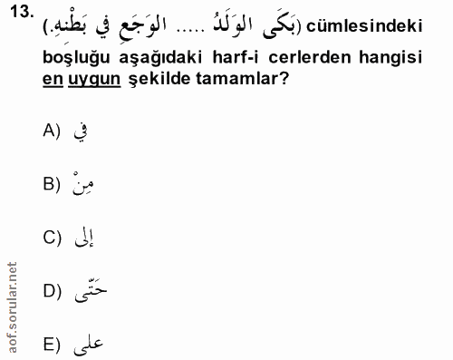 13. soru: 13 (nib S geş"..Üş ) cümlesindeki boşluğu aşağıdaki harf-icerlerden hangisi en uygun şekilde tamamlar? A) 3 B) js C)…