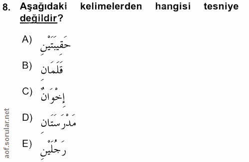 8. soru: Aşağıdaki kelimelerden hangisi tesniye değildir? حَقِيبَتَيْنِ (A B) ilato C) إخْوَانٌ D) مدرستَانِ رَجُلَيْنِ (E